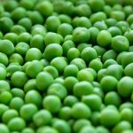 Pea Variety For Garden With Health Benefits