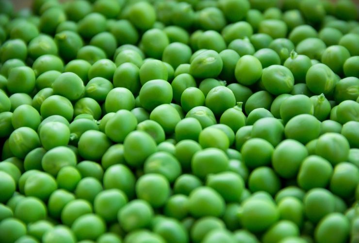 Pea Variety For Garden With Health Benefits