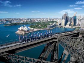 Why Technical Analysis Training Is Needed?