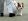 Dog Training: Some Important Aspects