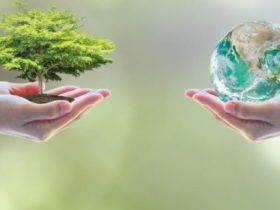 How To Inspire Environmental Awareness In Employees And Customers