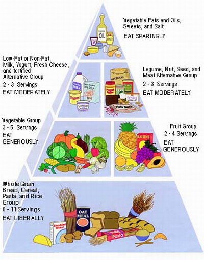 Healthy Meal Plan