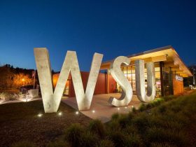 University-Industry Relations At Washington State University
