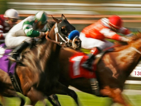 Reasons Why Horse Racing Should Be Your Favorite Sport