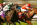 Reasons Why Horse Racing Should Be Your Favorite Sport