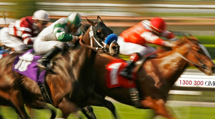 Reasons Why Horse Racing Should Be Your Favorite Sport