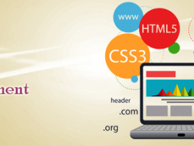 Finding The Right Nagpur Branding Web Development Firm