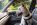 How To Get Rid Of Fleas In Your Car