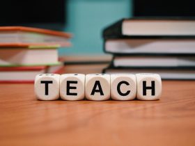 Favoritism in Public Education - The Politics of Certain Educators