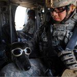 4 Ways To Invest In Yourself During Your Military Service