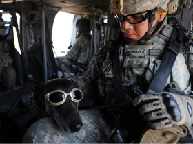 4 Ways To Invest In Yourself During Your Military Service