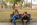 What You Need To Know About Representing Yourself In A Divorce Case