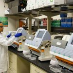 How Millennials Can Get Involved In Biotech Careers