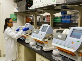 How Millennials Can Get Involved In Biotech Careers