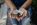 Starting A Non-Profit? How to Find Support and Donors in Your City