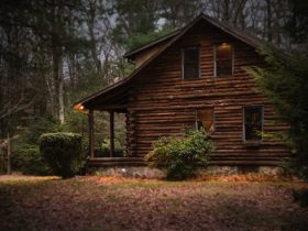 How to Make Sure Your New Cabin Gets Plumbed Right