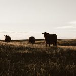 4 Benefits Of Starting An Agriculture Business
