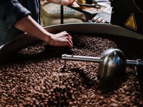 How Bean Roasts Affect The Quality Of Your Morning Brew