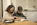 More Than Just Public or Private School: How to Find The Right Program For Your Kid