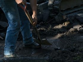 Equipment to Invest In When Starting A Landscaping Business