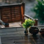 Unique Upgrades For A Bougie Backyard