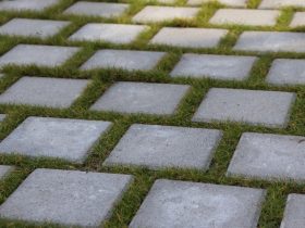 8 Types Of Pavers to Consider Using For Your New Patio