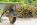 Ways You Can Reuse Yard Waste In Your Landscaping Business