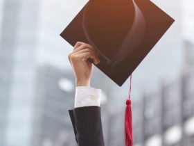 How Business Degree Can Lead To A Successful Career