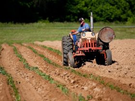 How to Acquire New Farming Equipment On A Tight Budget