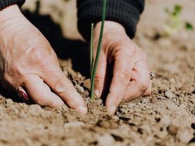 What You Need To Know Before Going Into Pesticide Training