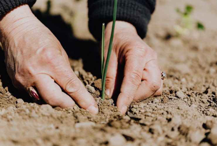 What You Need To Know Before Going Into Pesticide Training